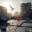 A Prayer in the Ashes_2