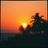 Horizon Beat 