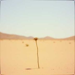 Alone  